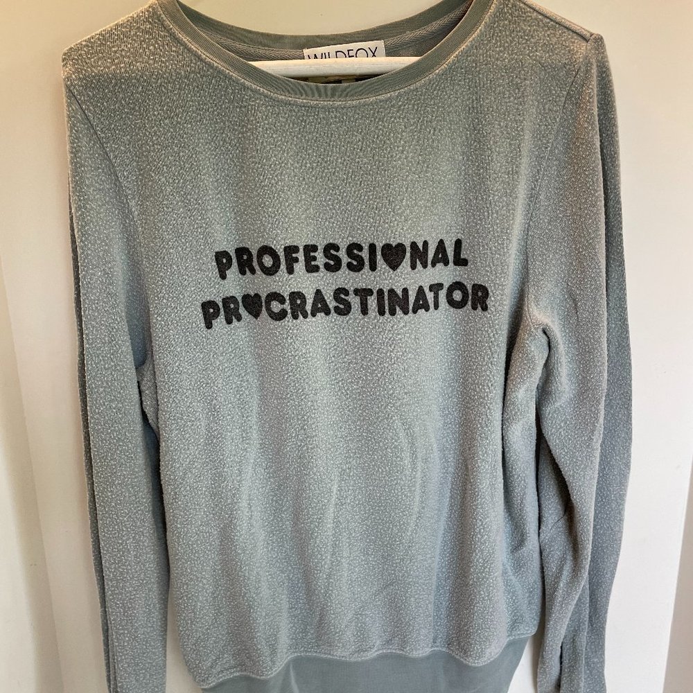 Wildfox Green Sweatshirt Size S